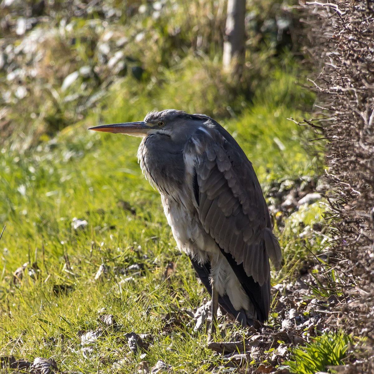 foto: [20220306PV6241]